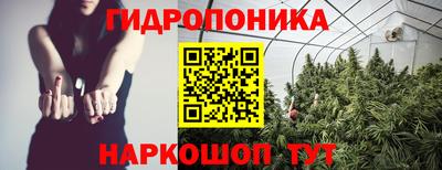 дмт Краснодар