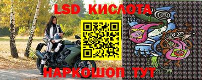 дмт Краснодар