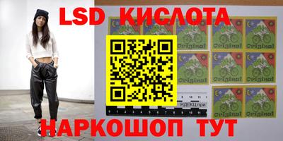 дмт Краснодар