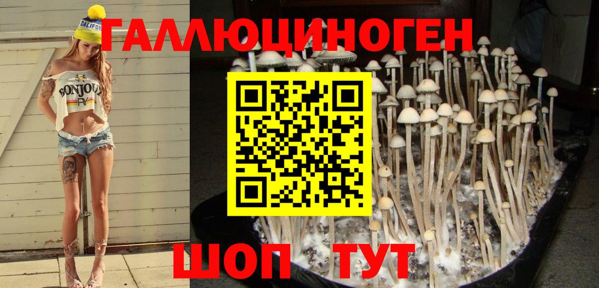 Галлюциногенные грибы MAGIC MUSHROOMS  Вход с VPN  Конаково 