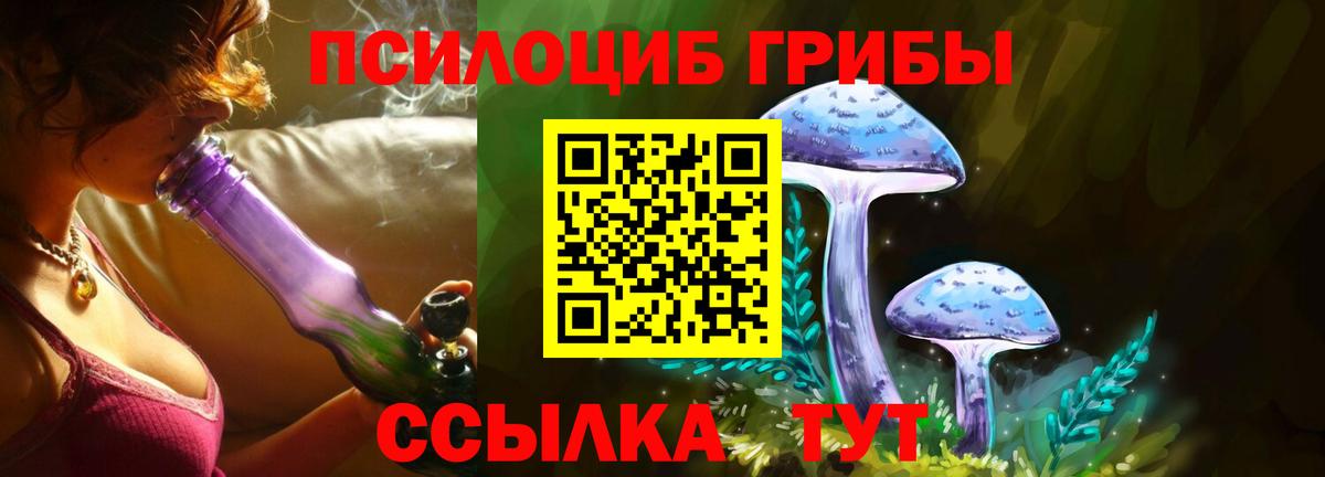 Псилоцибиновые грибы прущие грибы Конаково