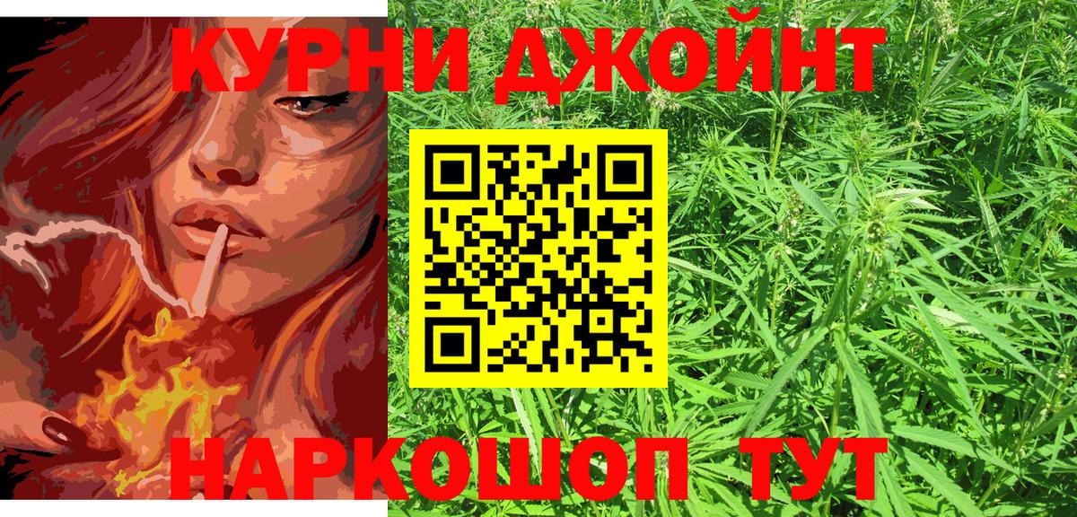 Каннабис конопля Конаково